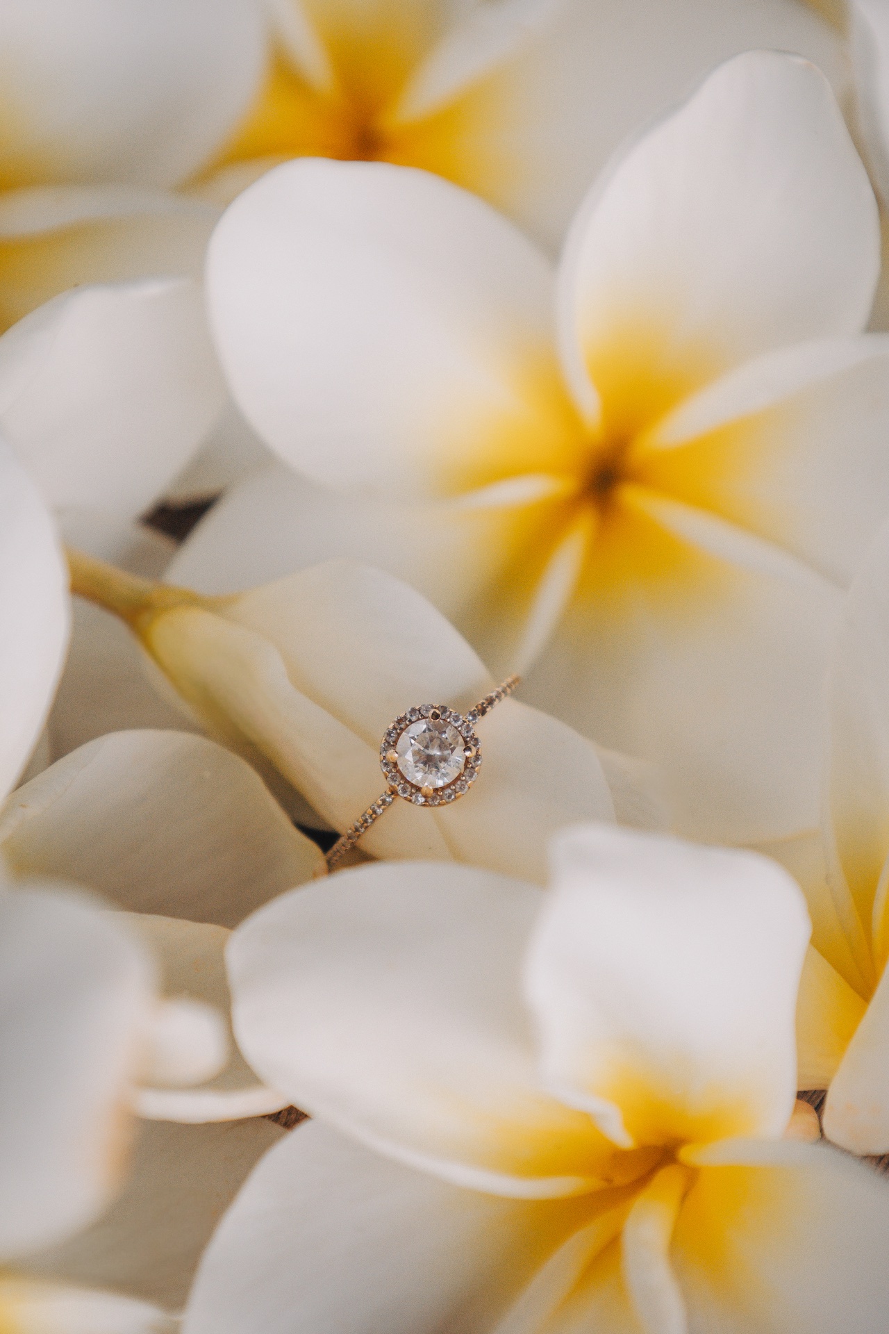 Séance couple à Tahiti — photographe couple (19)
